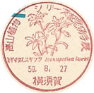 高山植物シリーズ記念切手展の小型印－横須賀郵便局
